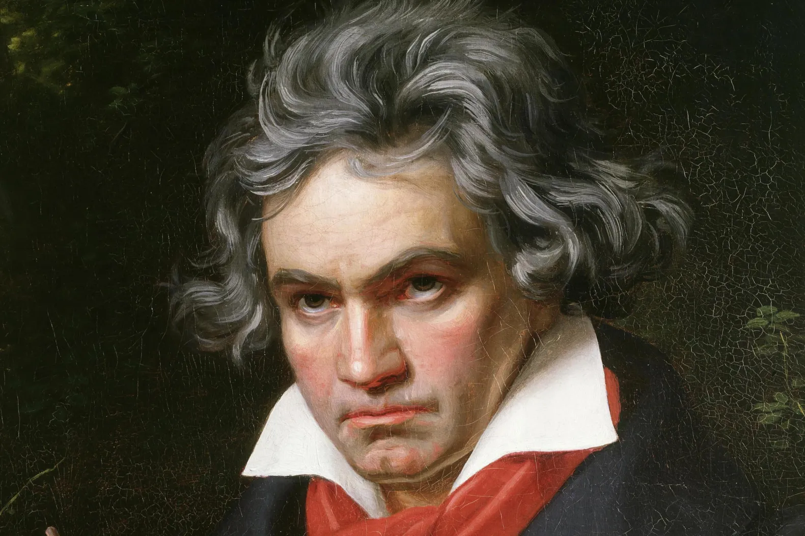 Rambut Beethoven